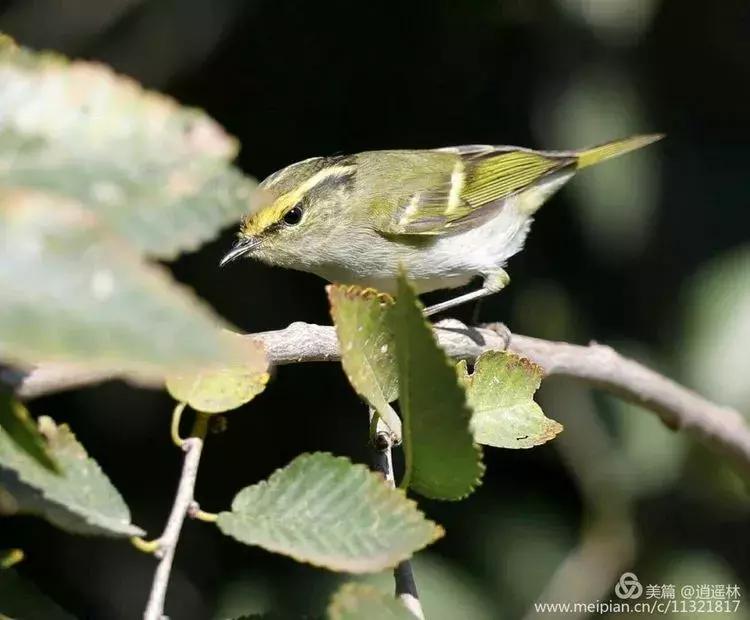 天坛最近发生什么事,北京天坛现在的状况