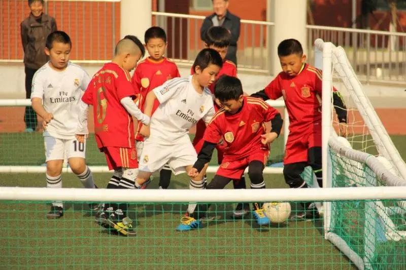 沙河高教园2020年,沙河高教园有哪些学校