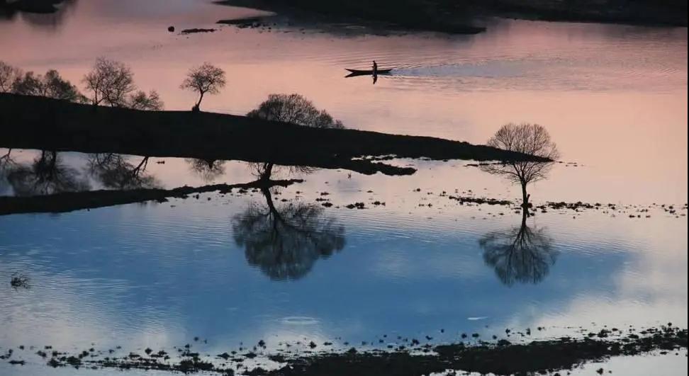 林业生态旅游科普,林草科普