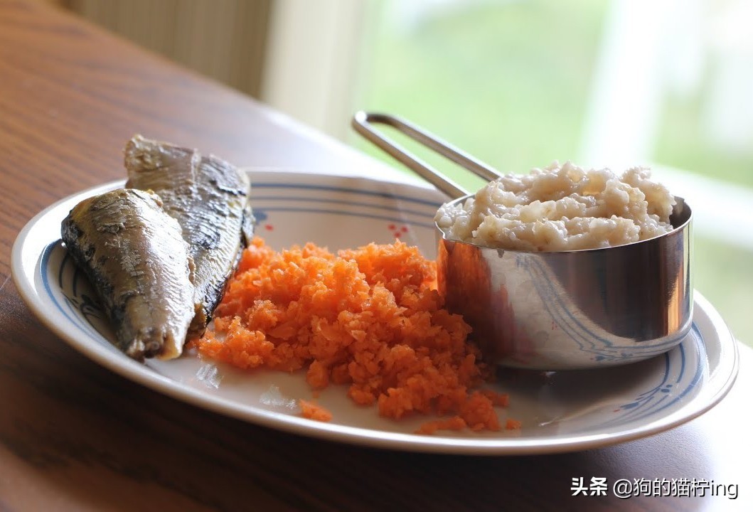 猫猫拉完便便脚很臭,猫猫拉粑粑巨臭怎么办