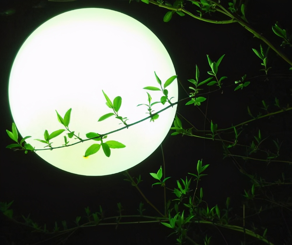 李白关于中秋月亮的诗,关于中秋节李白