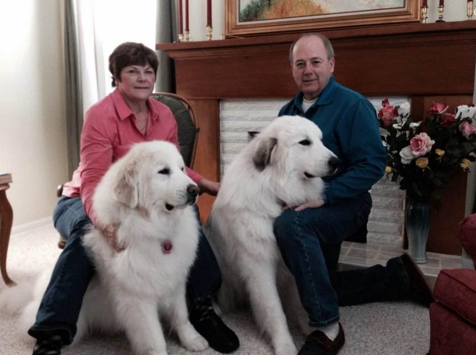 城市没有被禁养的几种大狗,已被各大城市禁养的五种狗