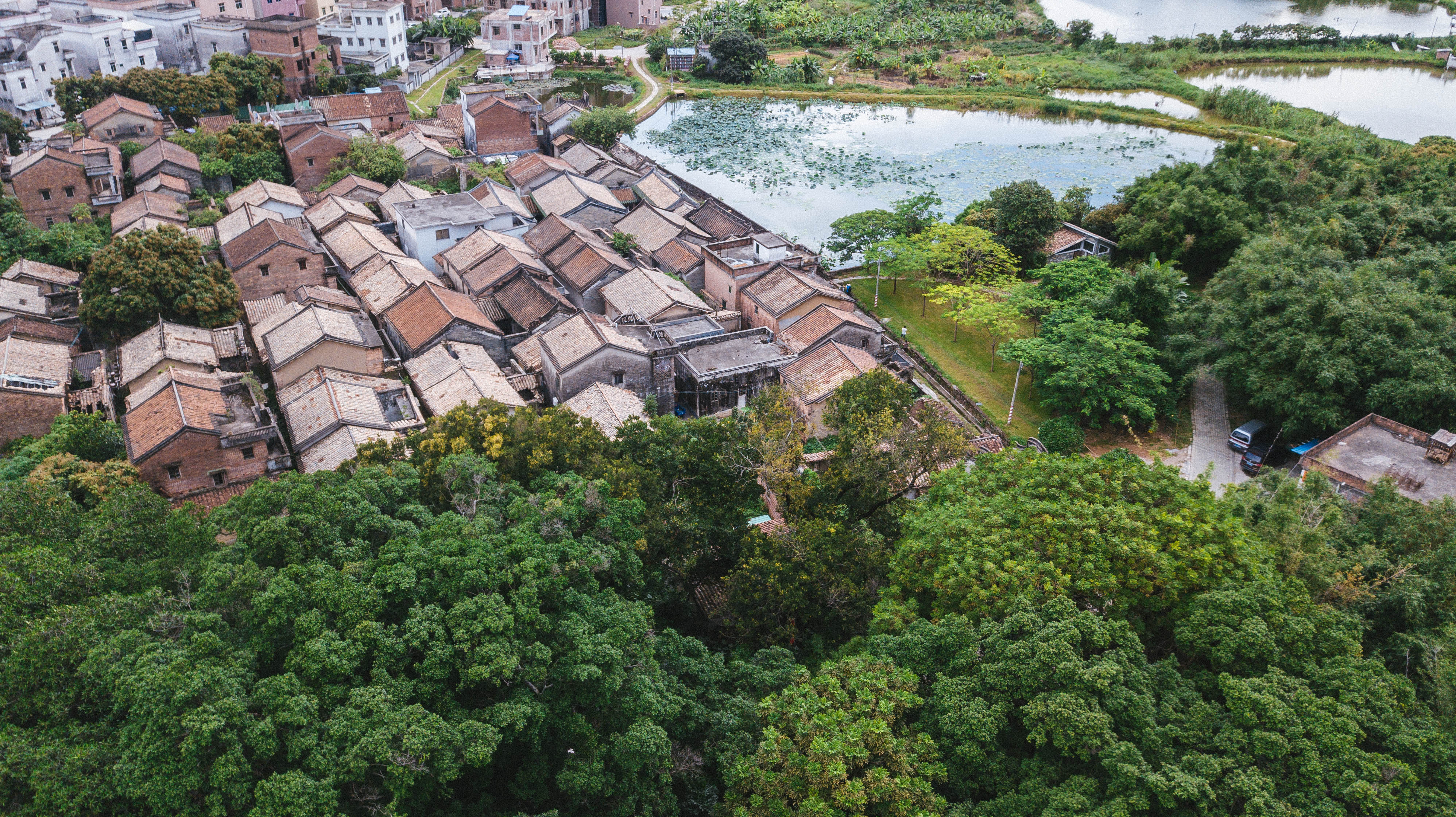 樟木头有什么好的酒店,樟木头哪间酒店环境好