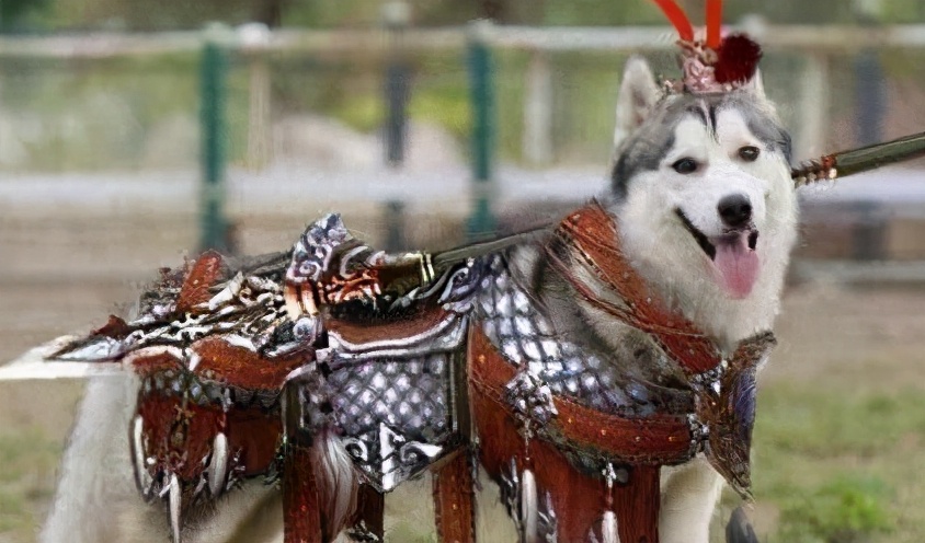 ID贩子一个ID卖出天价，为什么偏偏不做剑网3的玩家生意？