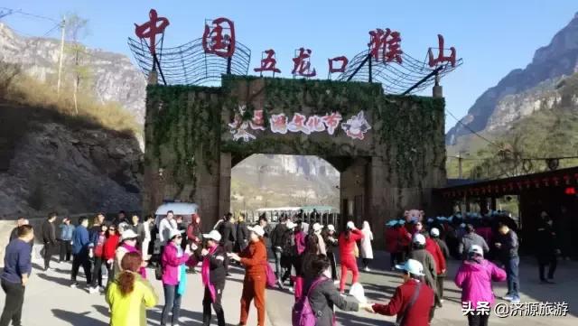 春暖花开踏青热，五龙口景区迎来春游小高峰！