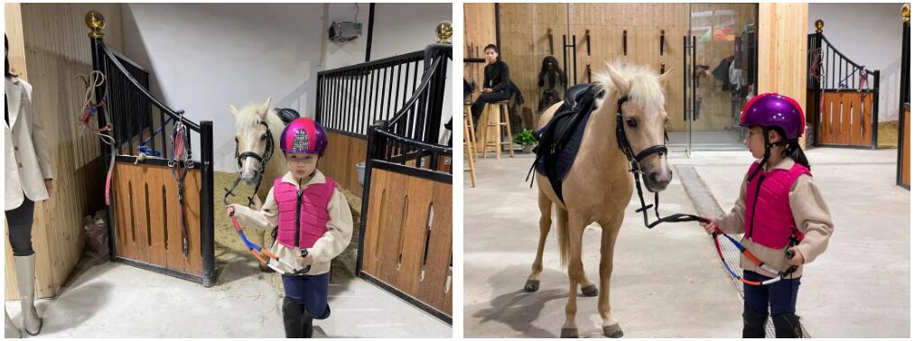 徐州首家TOP级马术俱乐部｜英骐国际马术俱乐部，2000㎡超大场地