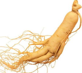 如何认识男性,男性什么情况下梦遗