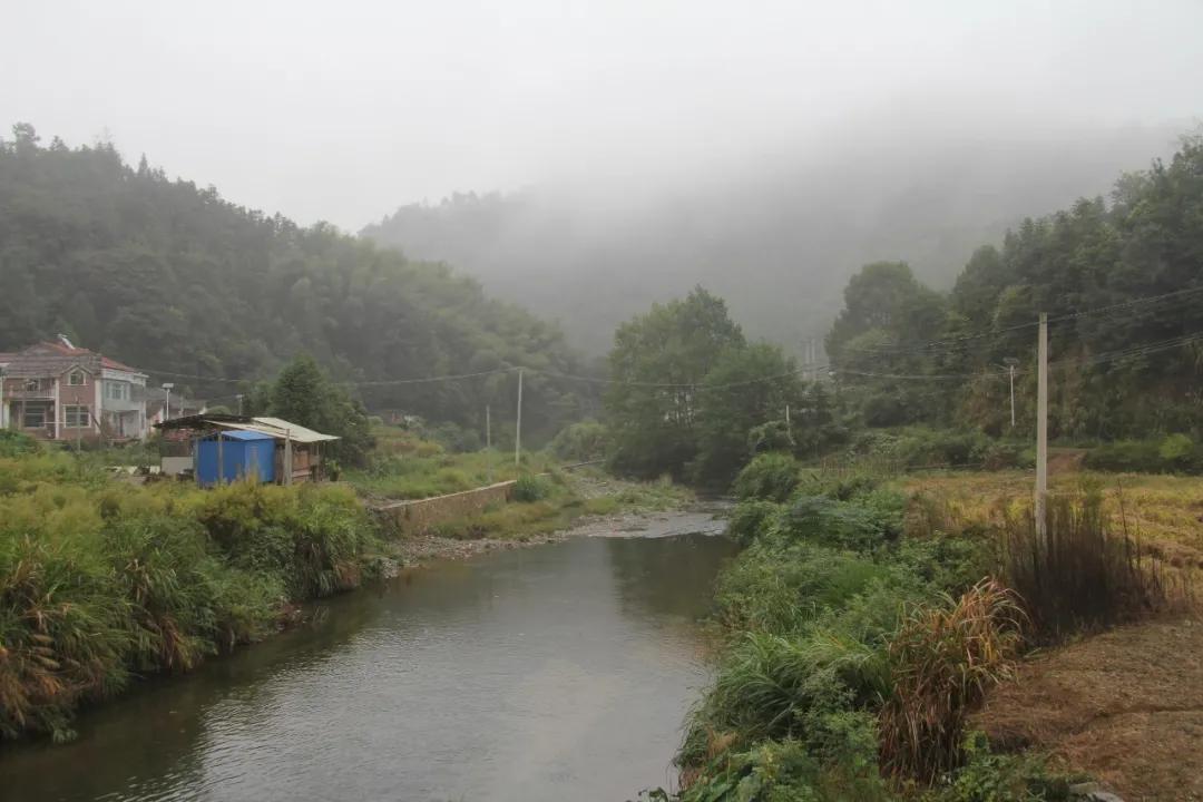 当一个人开始怀念童年,人越长大越容易怀念过去