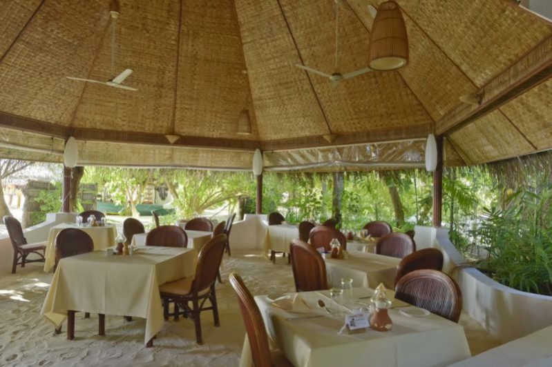 马尔代夫蕉叶岛游记,马尔代夫蓝色美人蕉岛的游记