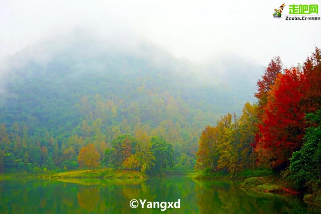 过年了你的爱车清洗了吗,新春要把你的爱车打扮美美的