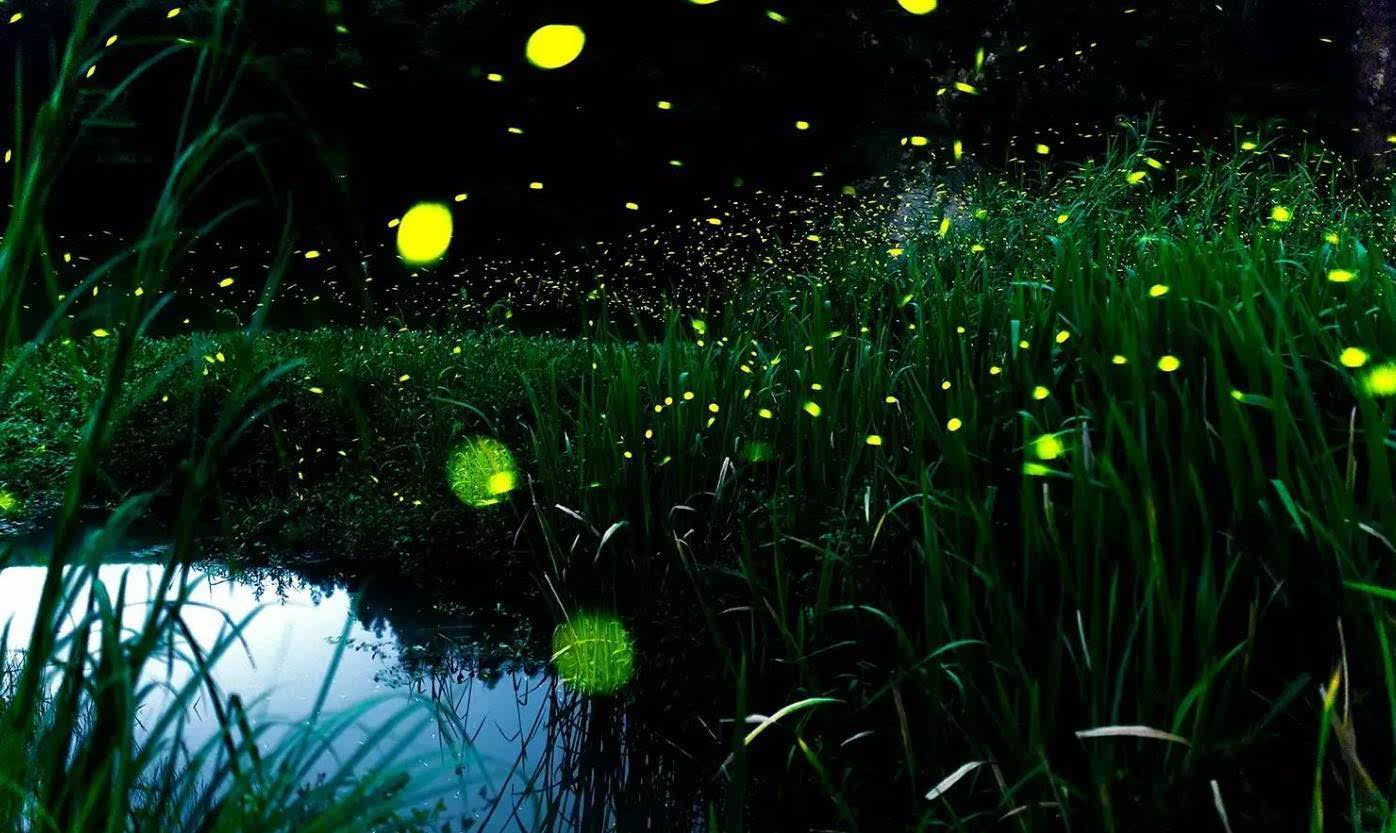 浙江发现500万吨夜明珠，矿床会产生辐射吗？对人体是否有害？