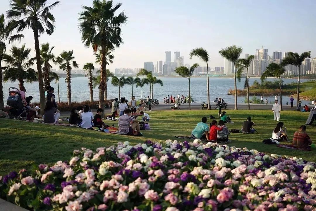 诺德国际最新房价,诺德国际精装55万