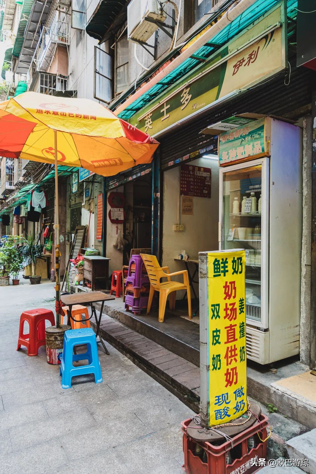 这家开了十几年奶店，每天供应生鲜牛奶，自制的牛奶糖水超赞