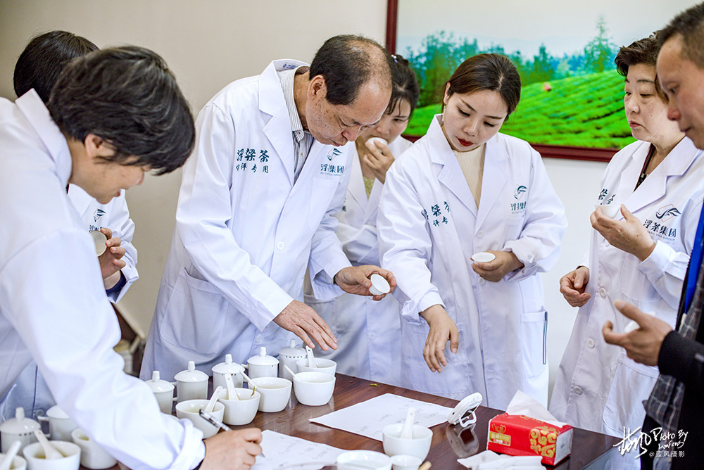 景德镇浮梁茶是什么茶,景德镇除了陶瓷还有什么比较出名