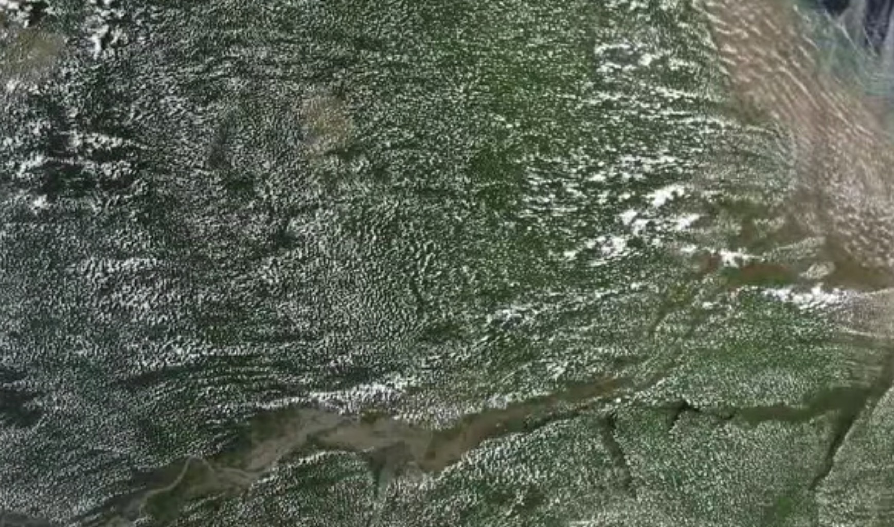 巴西亚马逊雨林损毁情况严峻,亚马逊热带雨林贯穿8个国家