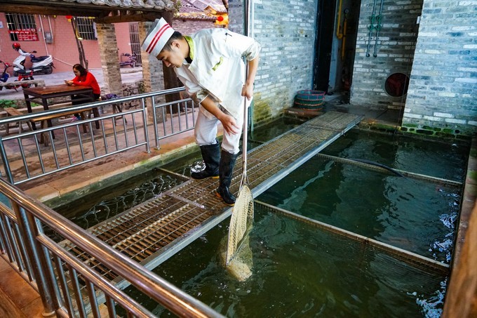 广东顺德美食旅游攻略学生,顺德自驾这份美食攻略要收好