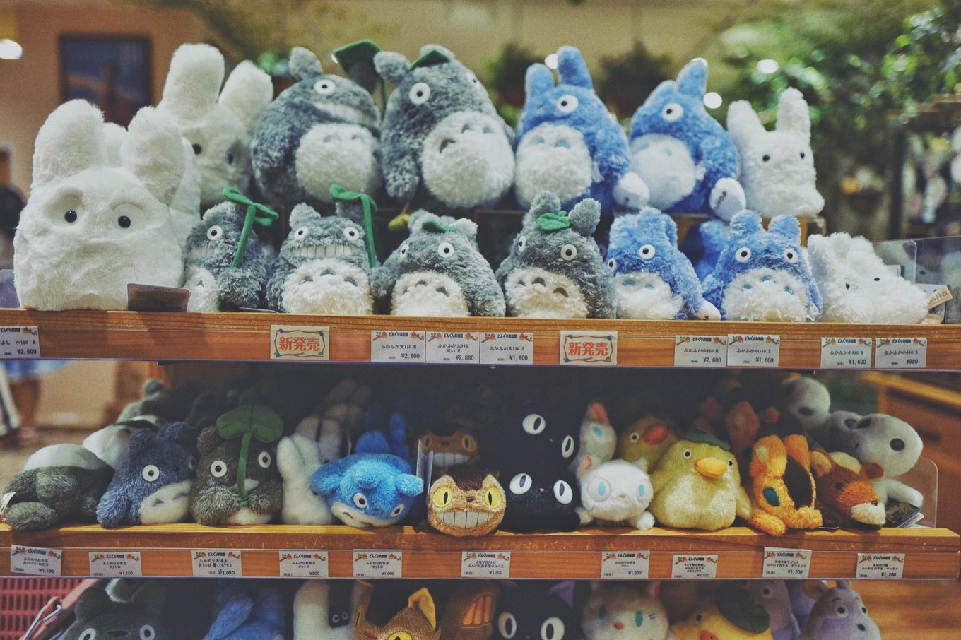 去一个让你开心的地方,去让你快乐的地方