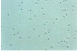 真空电镀是pvd真空镀膜吗,真空电镀和水镀哪个容易刮花