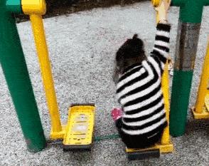 夏天带孩子去户外活动家长要警惕,户外活动这些地方要当心