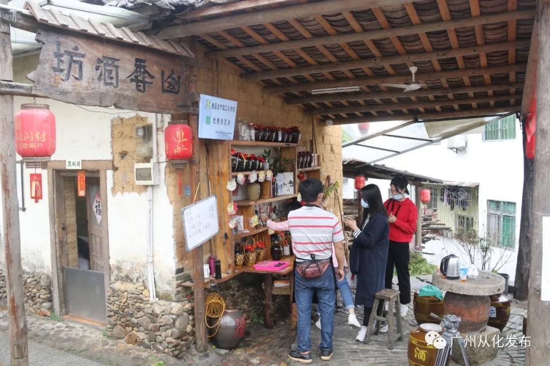 从化莲麻头酒十里飘香，昔日贫困村在绿水青山间迸发振兴力量