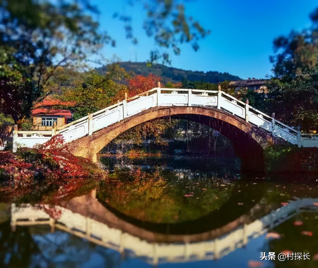 重庆自驾游免费露营地,冬季露营旅游重庆