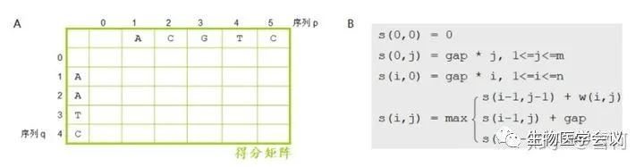 生物信息学入门什么书好,从生物信息学角度解读