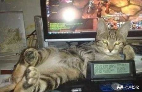 会员裂变赚钱的方式,会员裂变最简单的方法