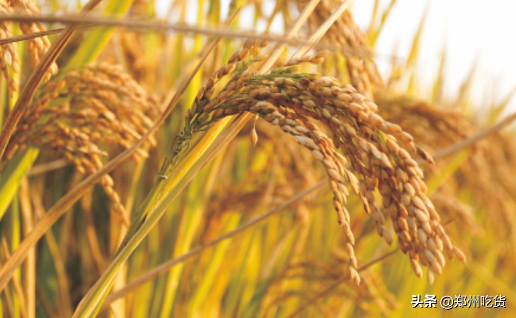 新年新气象，鲤鱼跃龙门！阿五新店3.0版本上线