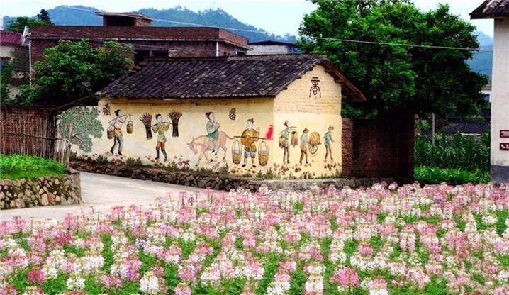 广东省最美自驾游244省道,中国最受欢迎的十大自驾路线top1