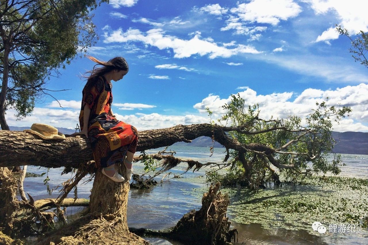 环海公路好看的图片,西南风景图片横图