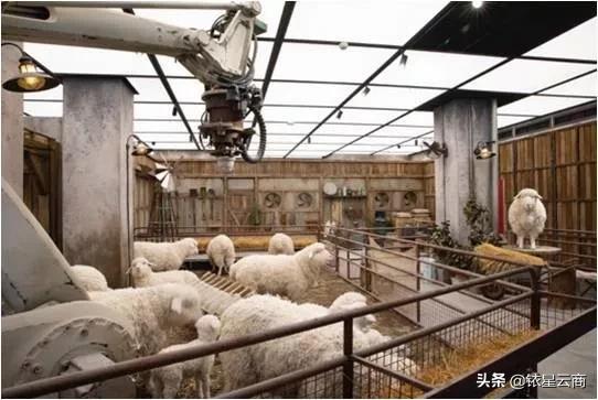 铱星视频|探索科技、体验艺术、感受时尚、SKP-S全接触