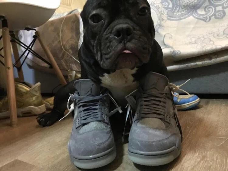 如果你连这点AJ的小知识都不知道的话，就别穿它上街了