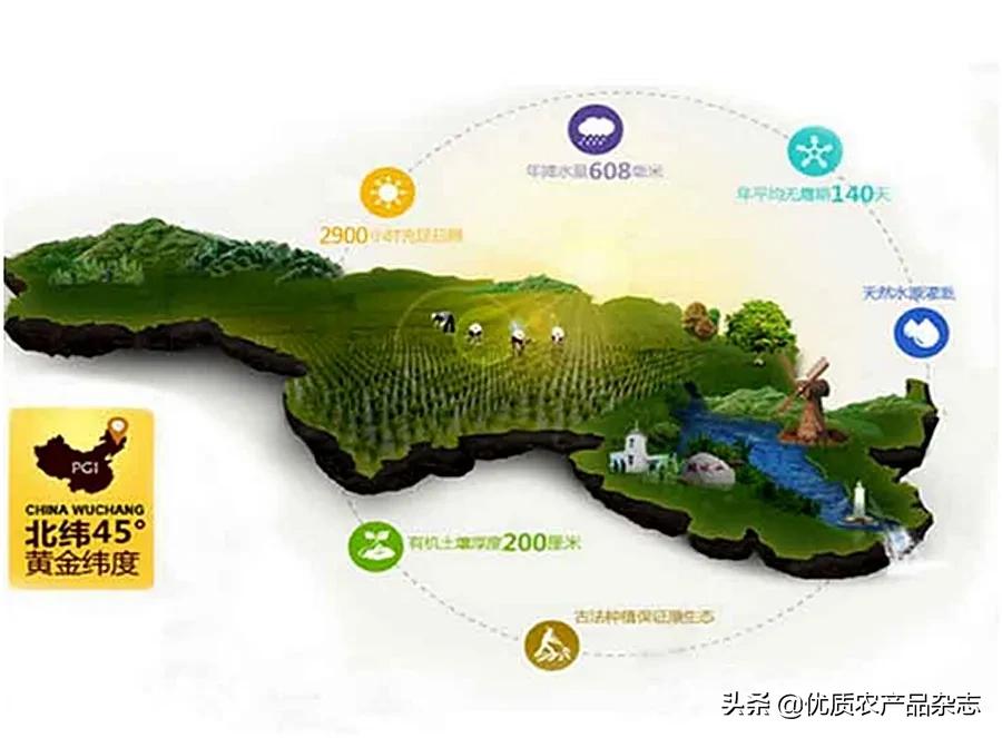 胚芽米和普通米哪个好吃,胚芽米被称为什么