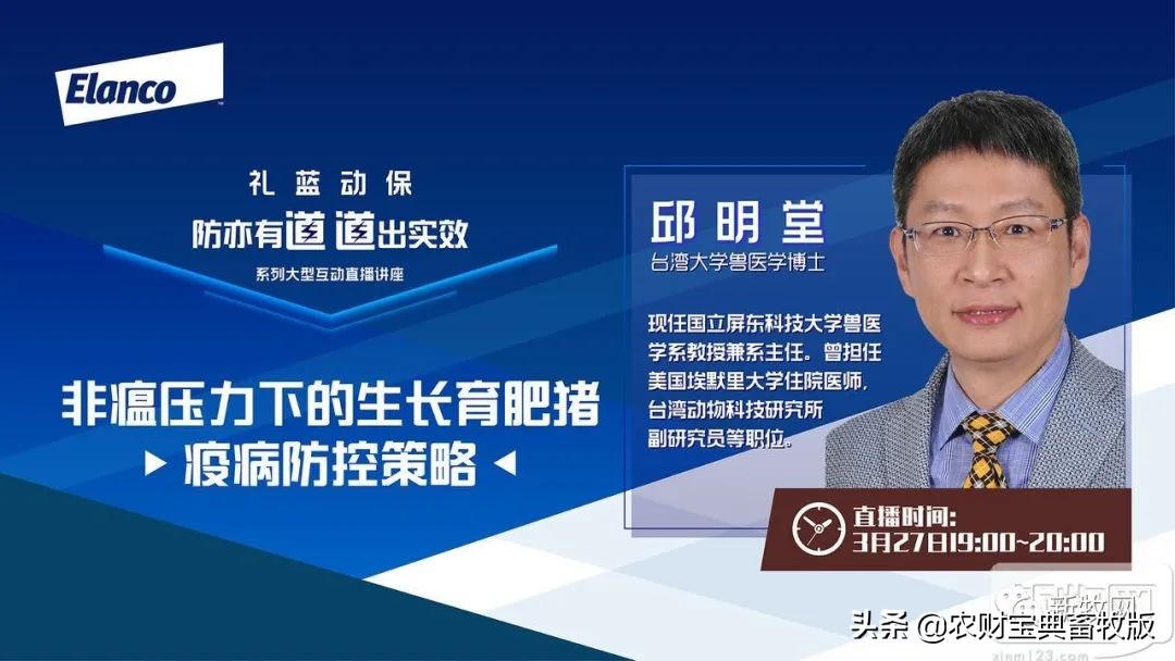 一头猪利润1000,一头肥猪能赚多少钱