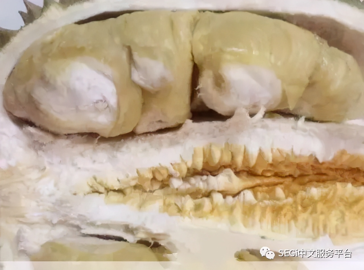 马来西亚的榴莲有啥品种,马来西亚榴莲有几种