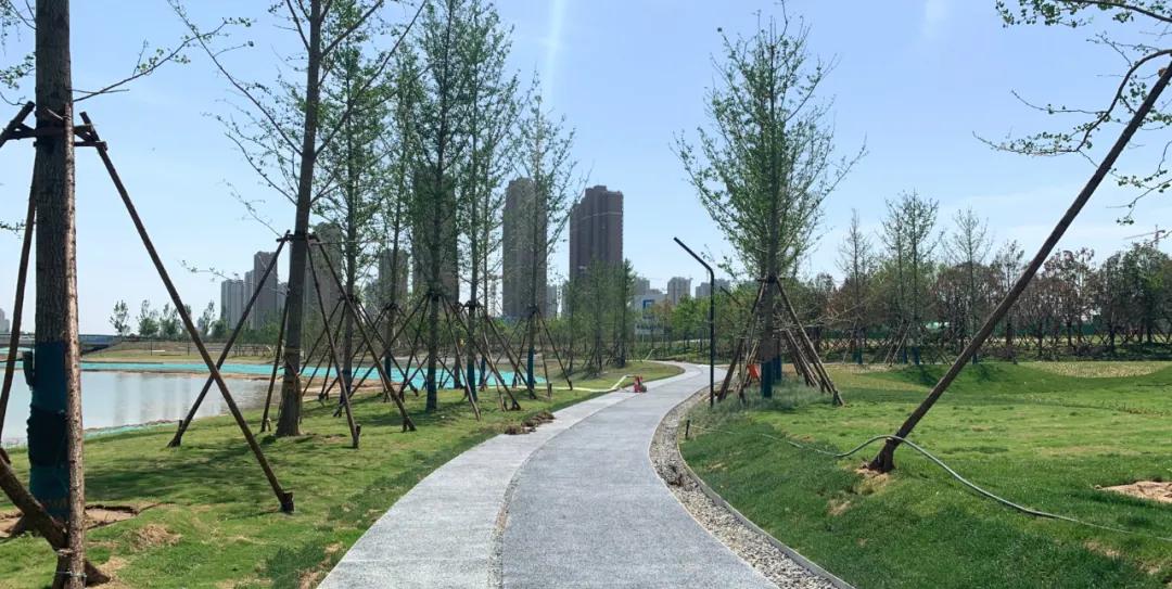 多图直击：即将交付的郑州荷湖片区，能否成为新晋网红打卡地