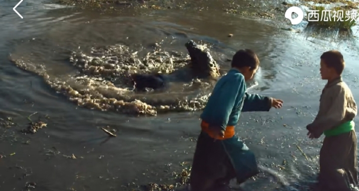 乌珠穆沁的孩子电影在线观看,乌珠穆沁的孩子怎么样