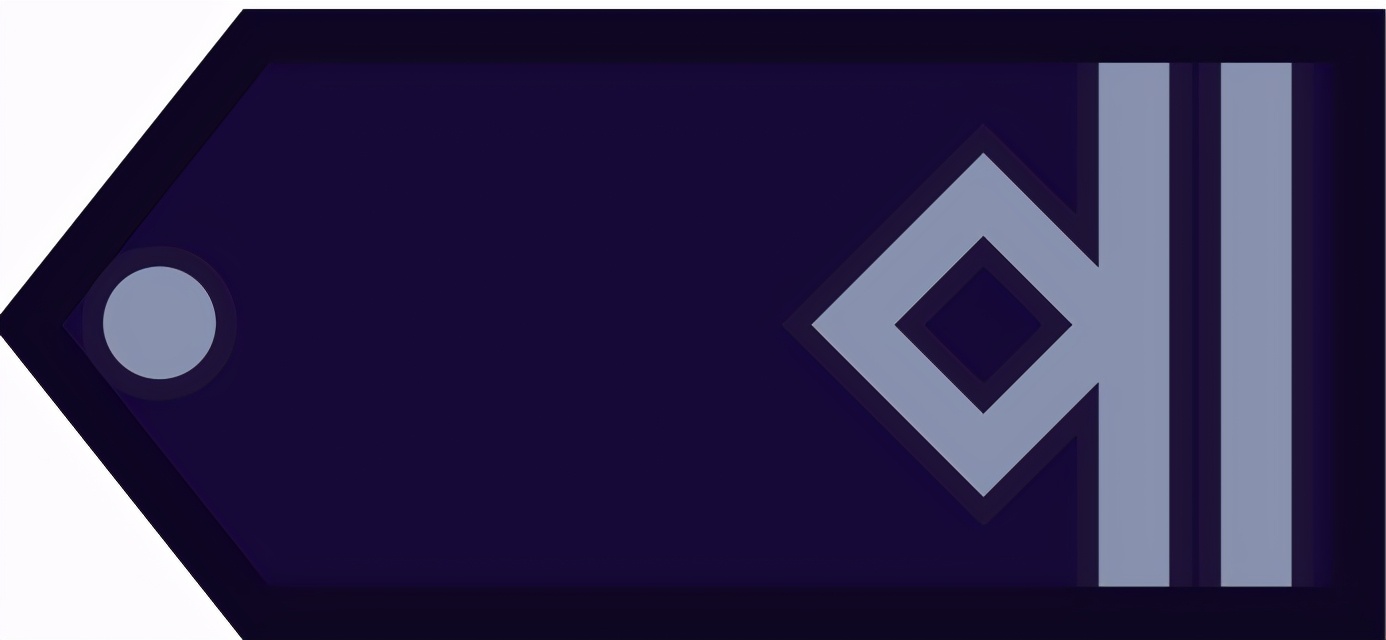 各国军衔标识俄罗斯,各国军衔标识