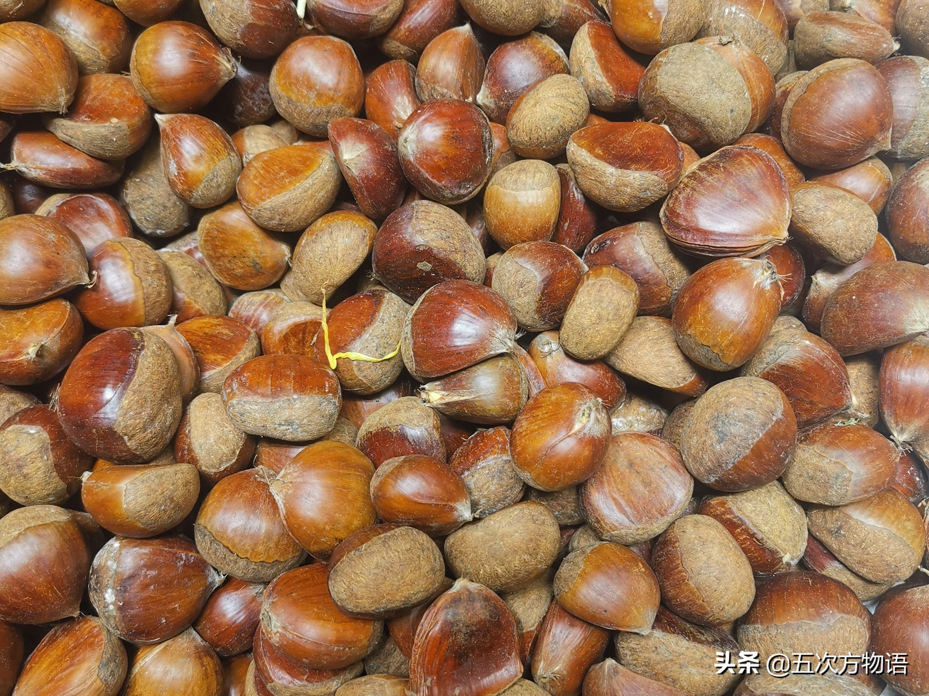 这么多零食你喜欢吃哪个,松鼠最爱的坚果