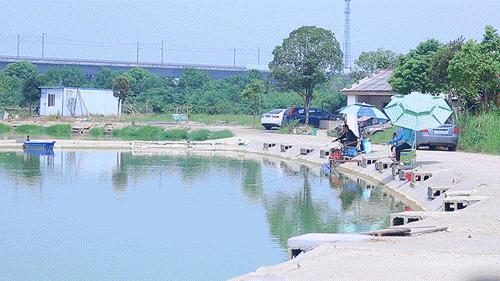 十大坑人的鱼排名,六类坑人的渔具