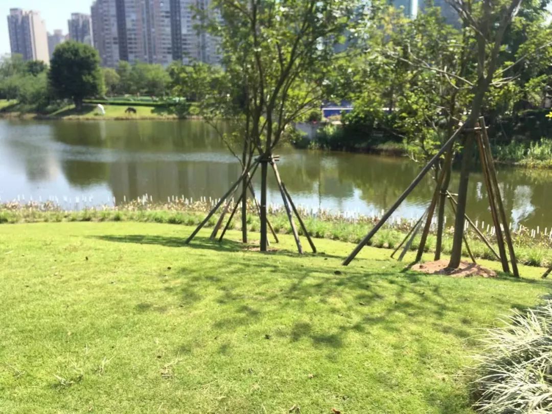 大亚湾泰丰牧马湖精装标准,大亚湾泰丰牧马湖洋房