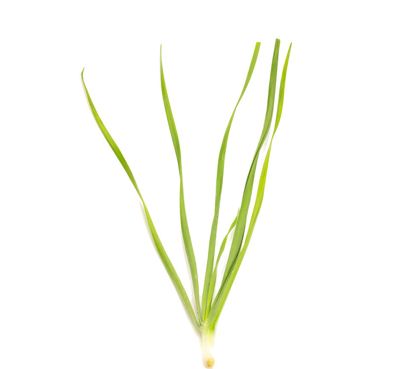 破皮渗液和流血的区别,破皮呈红色还是褐色