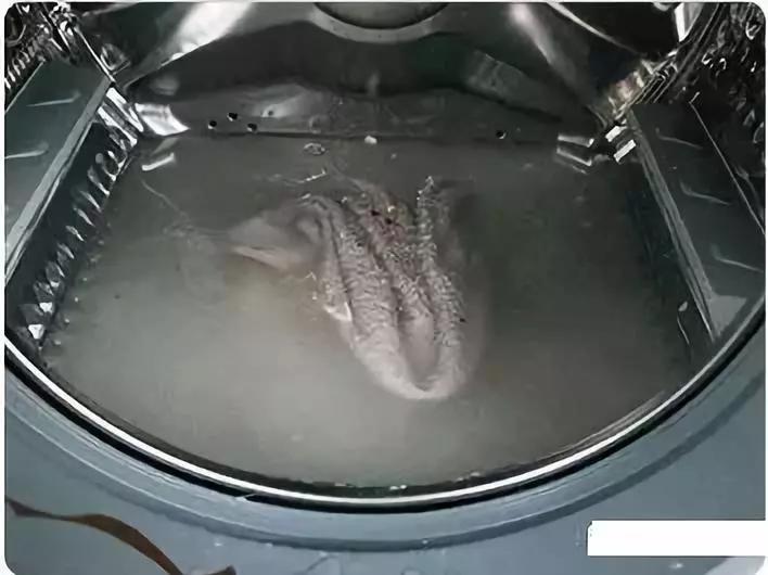 洗衣机不洗比马桶还脏,最有效的清洁洗衣机的方法