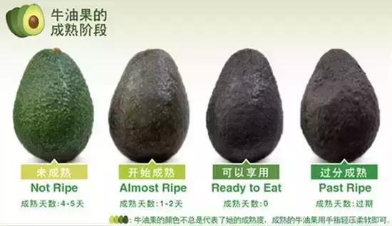 牛油果背后的罪恶,牛油果骗局被揭开不是健康食品