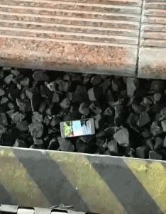 在野外发现甘蔗,在山里发现甘蔗