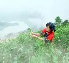 除了“洪荒之力”，还有回天、吹灰、绵薄这些著名之力！