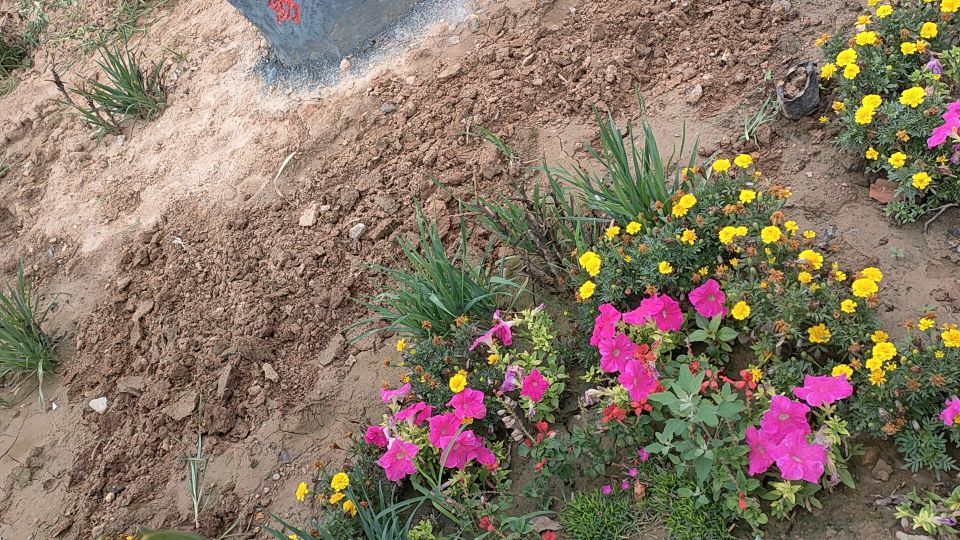 因过竹院逢僧话偷得浮生半日闲,偷得浮生半日闲下一句什么意思