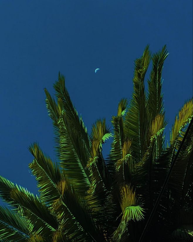 我靠写小说发家致富,我靠写作赚生活费