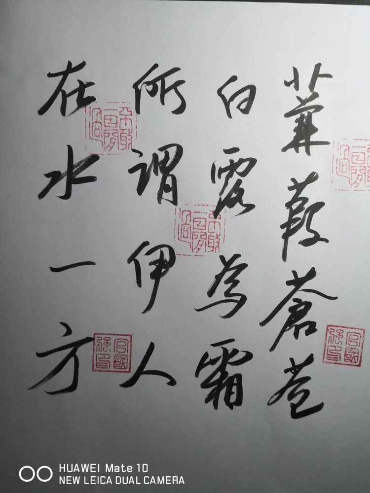 深秋的私语,美文美图经典欣赏