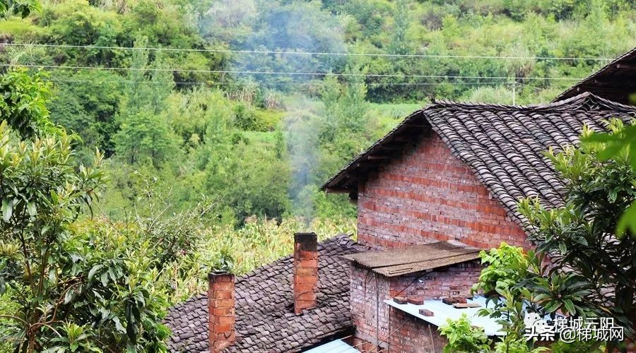 腊猪油到底能不能吃,农村腊油怎么做好吃